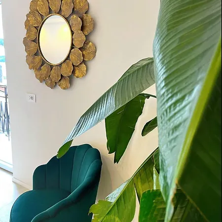 招待所 Cassia Collection 罗马