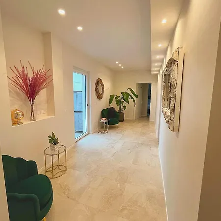 招待所 Cassia Collection